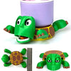 Turtle Coaster