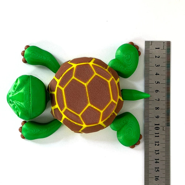 Turtle Coaster