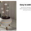 Dynamic Jellyfish Air Humidifier