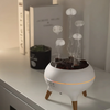 Dynamic Jellyfish Air Humidifier