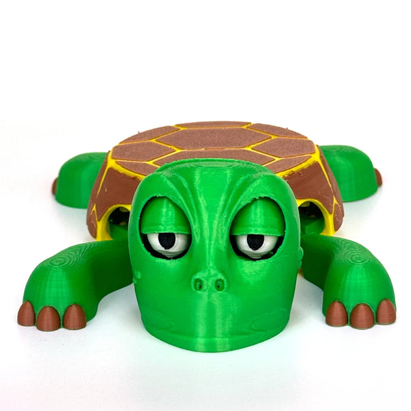 Turtle Coaster