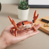 Crab Holder With Bluetooth Speaker